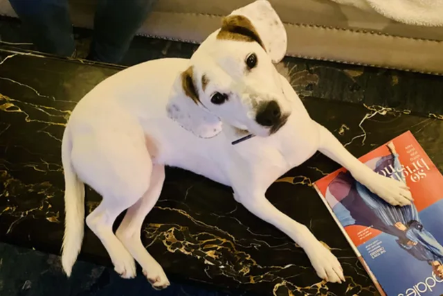 Calliope, Mix
