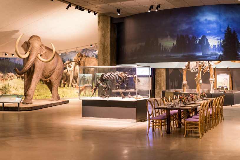Night at the museum experience.