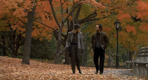Two people walking in Fall.