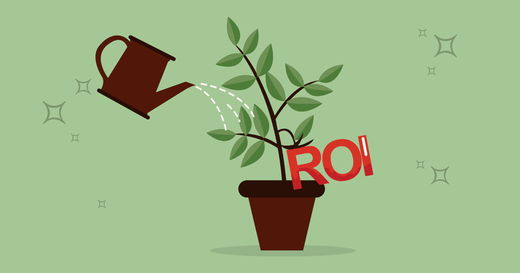 The Importance of ROI