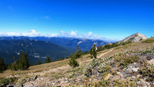 GIF of a woman and a dog jogging past on a mountain with a beautiful mountain landscape behind them