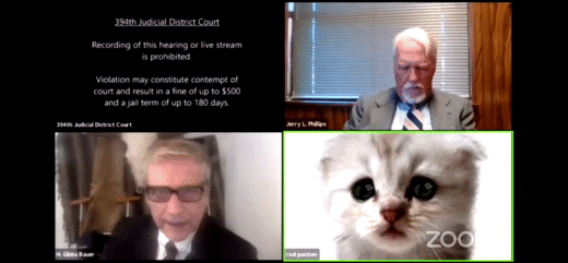 GIF of Lawyer on Zoom call getting cat filter stuck on his face