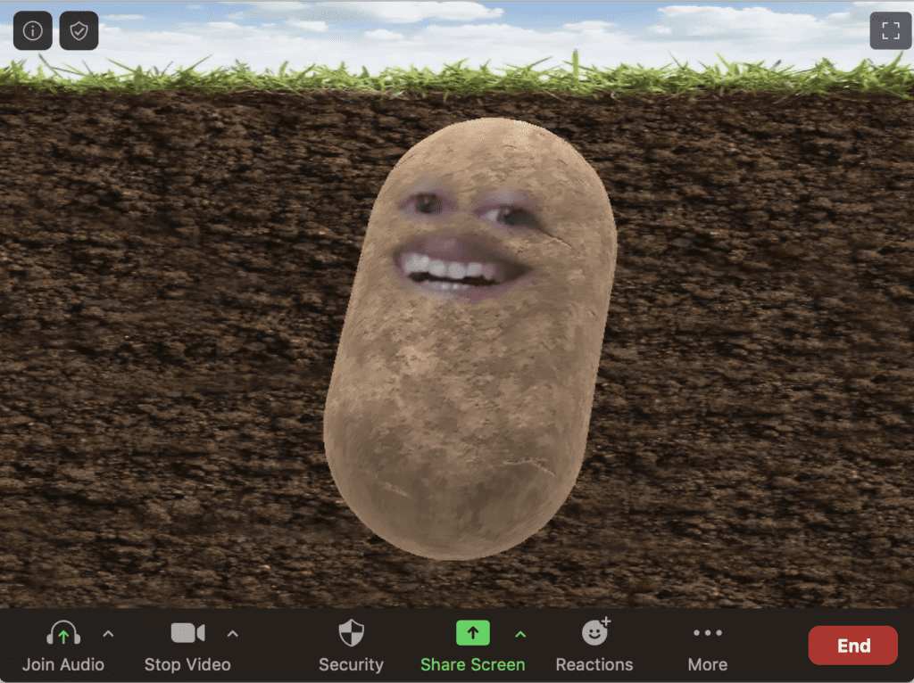 Screenshot of virtual Zoom filter where the person's face is turned into a potato underground.