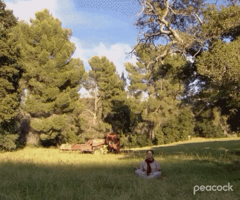 "The Office" Dwight Shrute meditating in a field 
