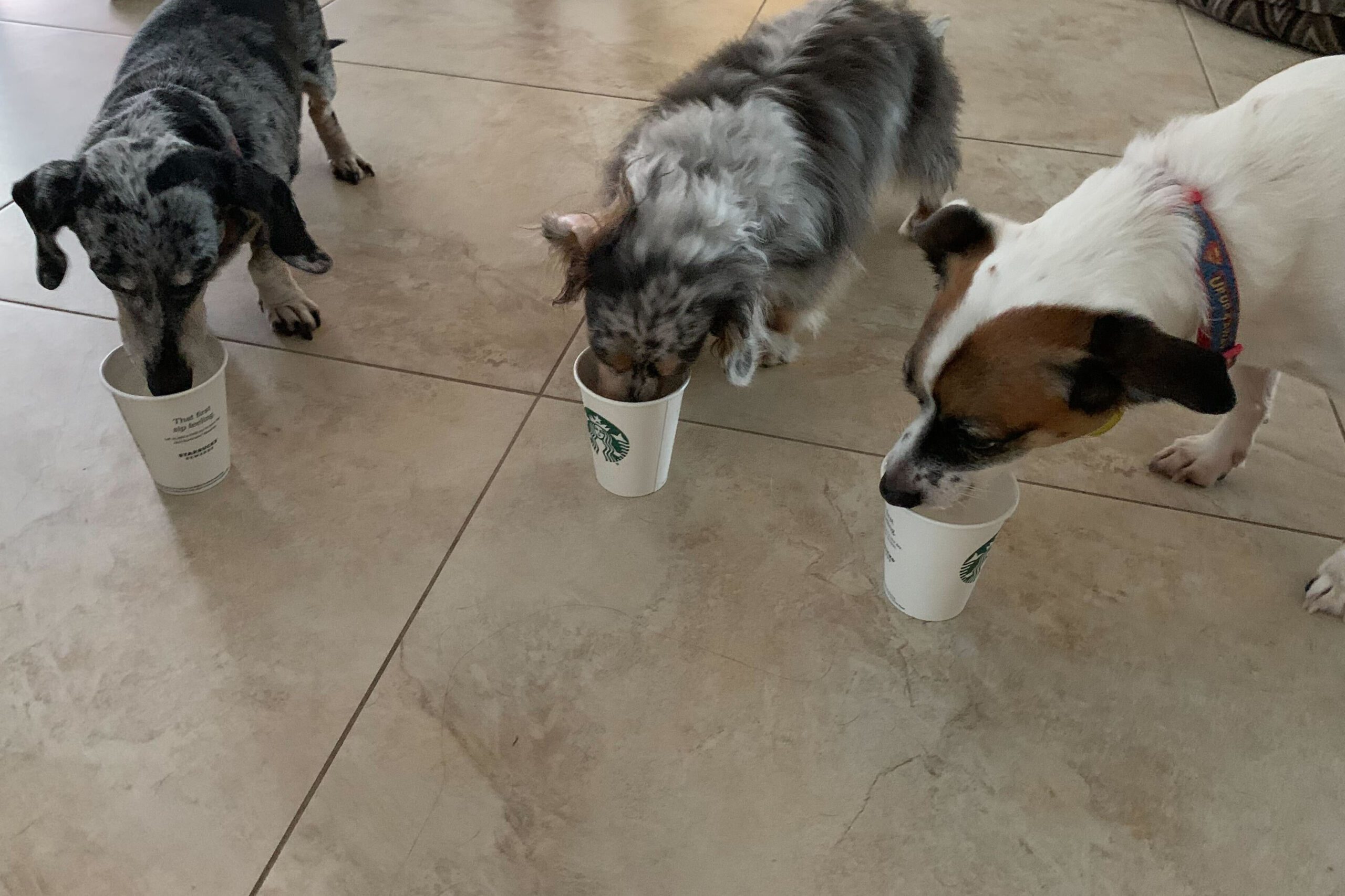 Henry, Dorinda, and Rascal