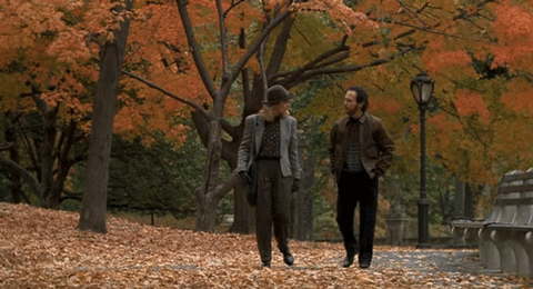 Two people walking in Fall. 